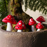 Mini Plant Pot Mushroom