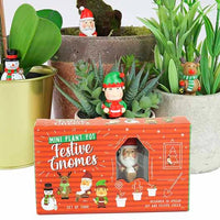 Plant Pot Festive Gnomes