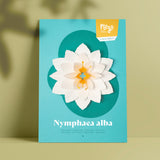 Nymphaea Alba Pop-Up Flower