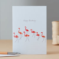 Flamingo Dance Happy Birthday
