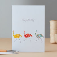 Three Ostriches Happy Birthday