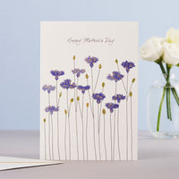 Cornflowers Mother's Day