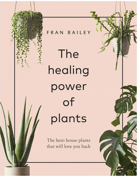The healing power of plants - Fran Bailey