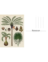 Botanicum Postcard Box