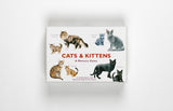 Cats & Kittens - Memory Game