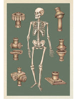 ANATOMICUM POSTCARD BOX - Welcome to the Museum