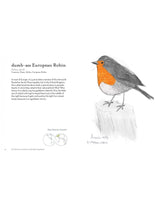 THE FIELD GUIDE TO DUMB BIRDS OF THE WHOLE STUPID WORLD