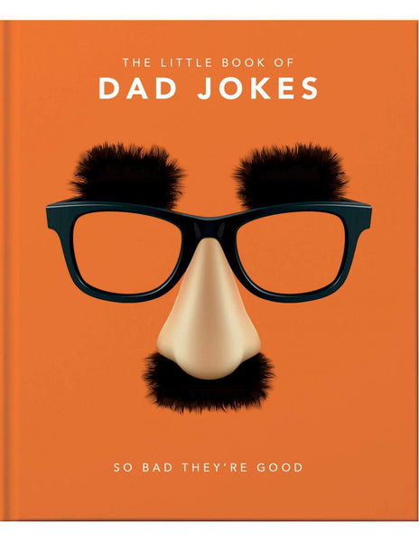 THE LITTLE BOOK OF DAD JOKES
