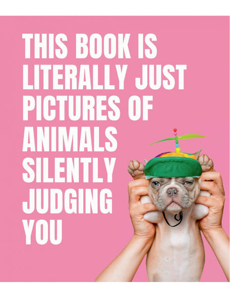 THIS BOOK IS LITERALLY JUST PICTURES OF ANIMALS SILENTLY JUDGING YOU
