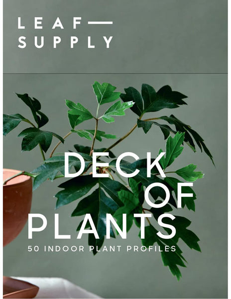 LEAF SUPPLY DECK OF CARDS - 50 Indoor Plant Profiles