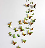 Paper Butterfly Collection