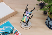Stag Beetle Small