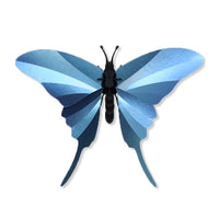 Swordtail Butterfly