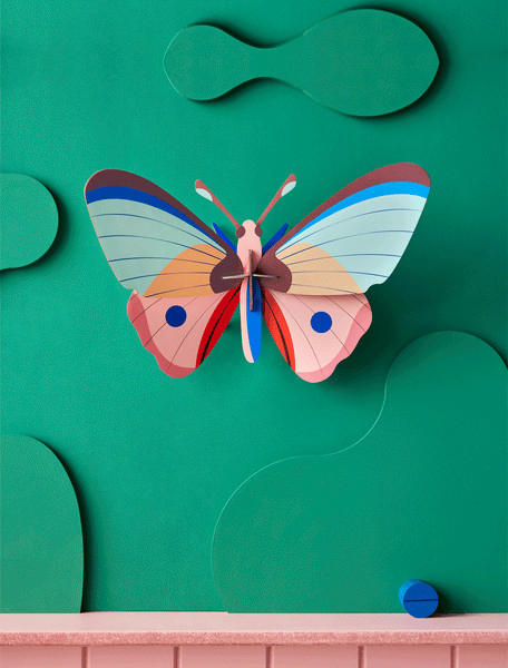 Cattleheart Butterfly Wall Art