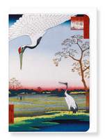 Cranes at mikawa island