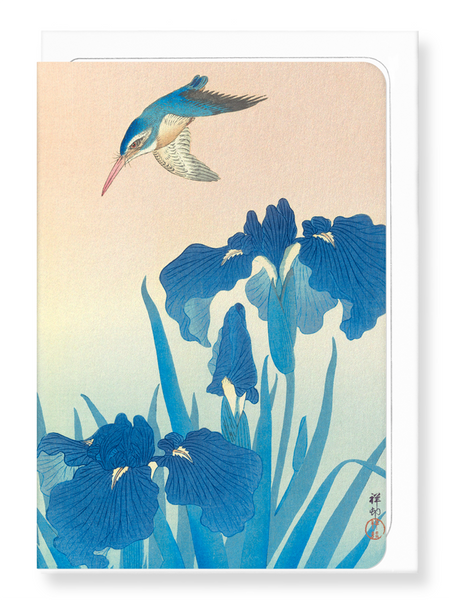 Kingfisher and iris