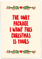 The Only Package I Want For Christmas... Is Yours