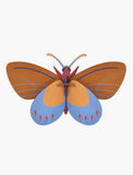 Ochre Costa Butterfly