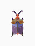 Queen Beetle