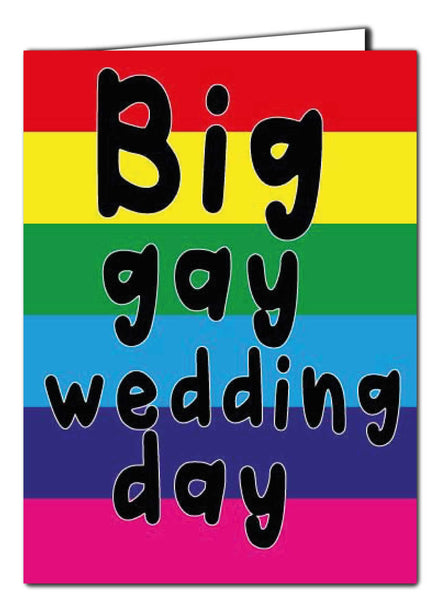 Big Gay Wedding Day