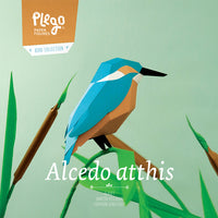 Alcedo Atthis
