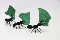 3 Leafcutter Ants