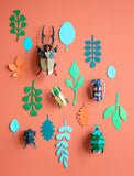 Beetle Antiquary Wall Of Curiosities