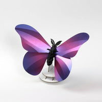 Giant Silk Butterfly