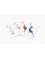 Birds - playing cards