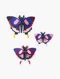 Swallow Tail Butterflies Set of 3